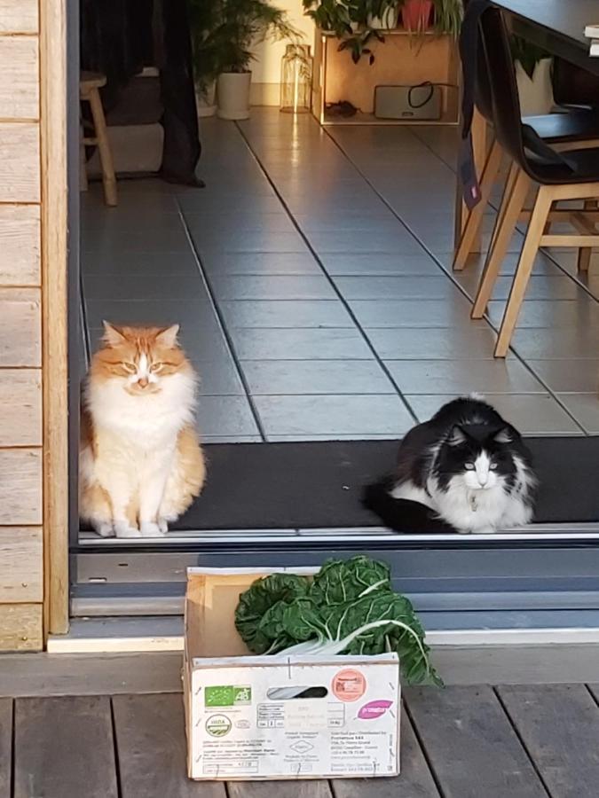 L'Oustaou Du Bodo Panzió Ambon Kültér fotó