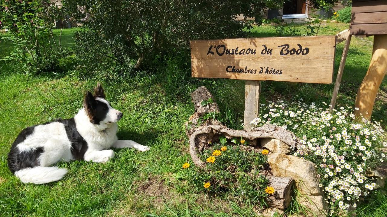 L'Oustaou Du Bodo Panzió Ambon Kültér fotó
