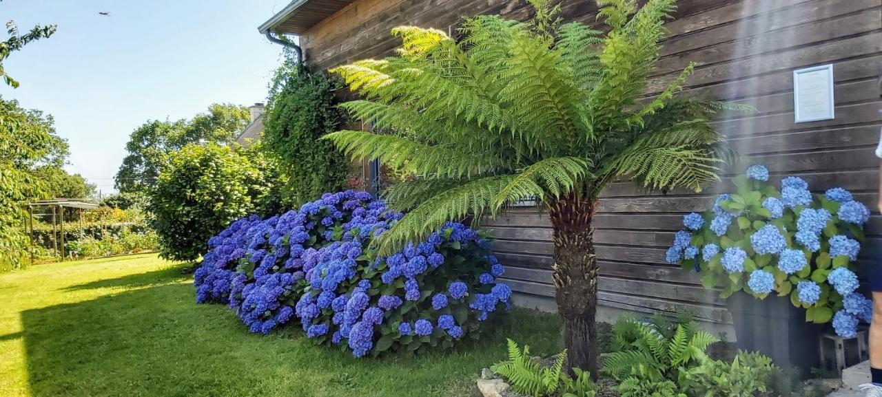 L'Oustaou Du Bodo Panzió Ambon Kültér fotó